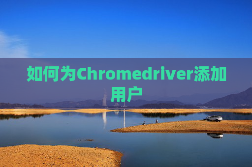 如何为Chromedriver添加用户 如何为Chromedriver添加用户